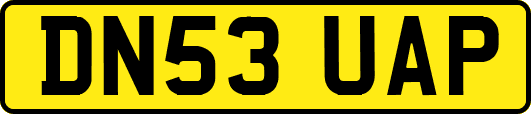 DN53UAP