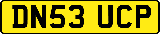 DN53UCP