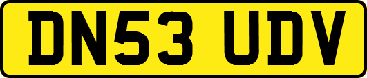 DN53UDV