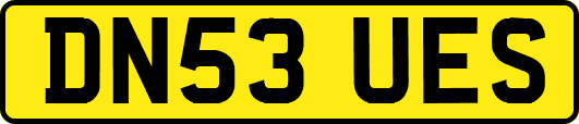 DN53UES