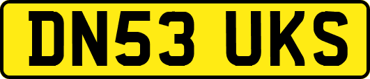 DN53UKS