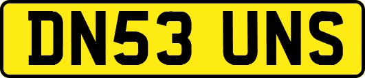 DN53UNS