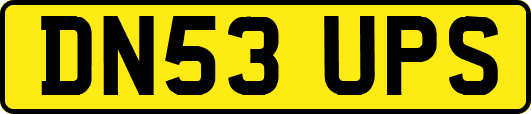 DN53UPS