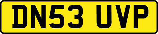 DN53UVP