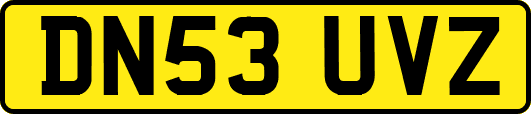 DN53UVZ