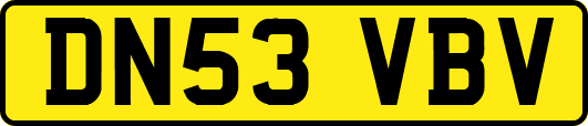 DN53VBV
