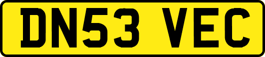 DN53VEC