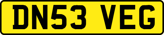 DN53VEG