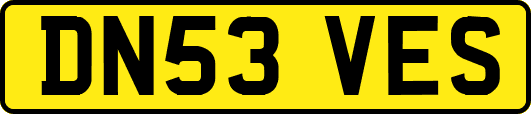 DN53VES