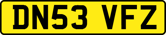 DN53VFZ