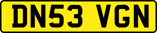DN53VGN