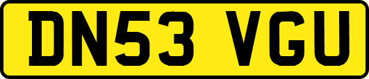 DN53VGU