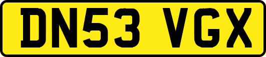 DN53VGX
