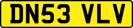 DN53VLV