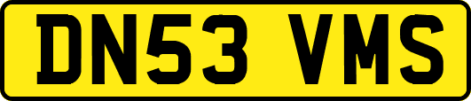 DN53VMS