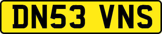 DN53VNS