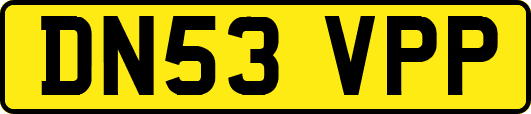 DN53VPP