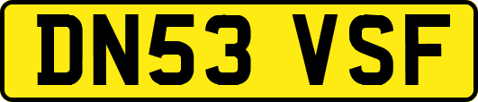 DN53VSF