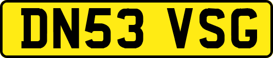 DN53VSG