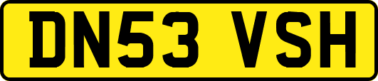 DN53VSH