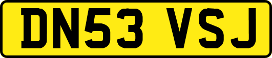 DN53VSJ
