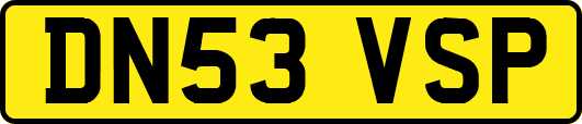 DN53VSP
