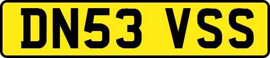 DN53VSS