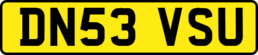 DN53VSU