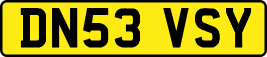 DN53VSY