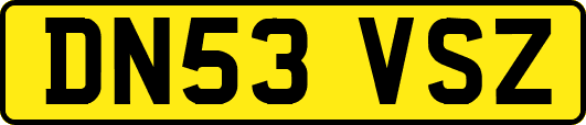 DN53VSZ