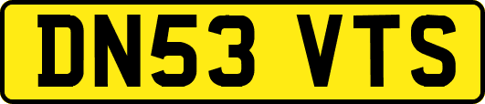 DN53VTS