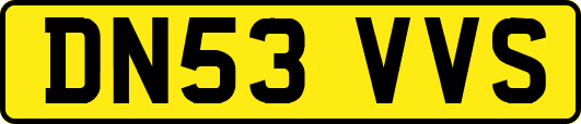 DN53VVS