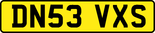 DN53VXS