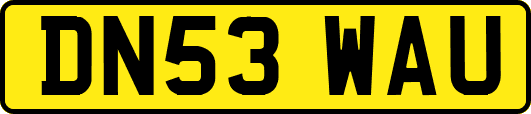 DN53WAU