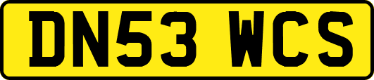 DN53WCS