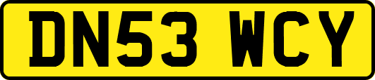 DN53WCY