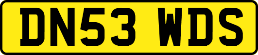 DN53WDS