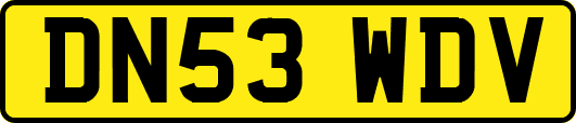 DN53WDV