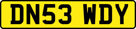 DN53WDY