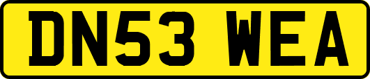 DN53WEA