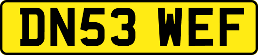 DN53WEF
