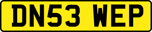 DN53WEP