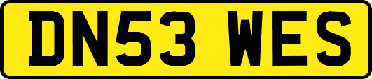 DN53WES