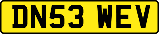 DN53WEV