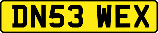 DN53WEX