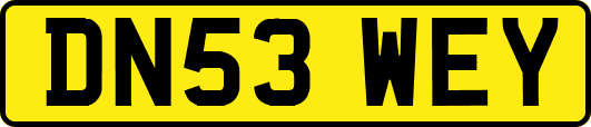 DN53WEY