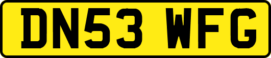 DN53WFG