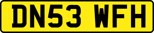 DN53WFH