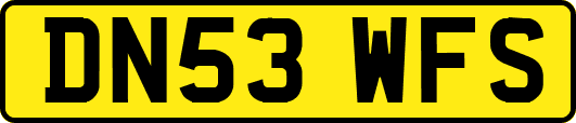 DN53WFS