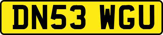 DN53WGU